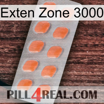Exten Zone 3000 26